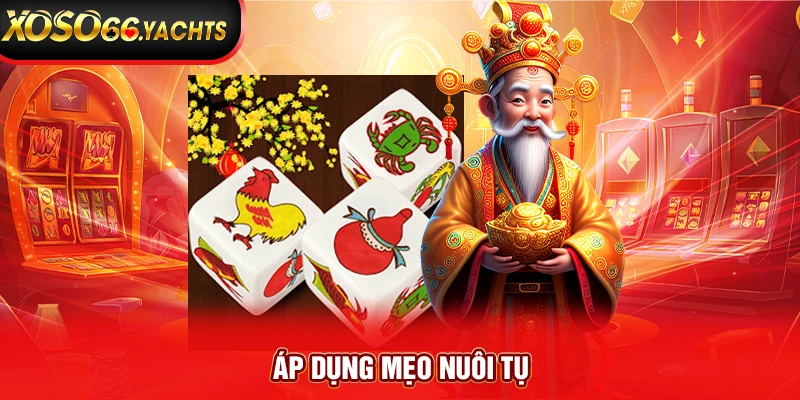 Áp dụng mẹo nuôi tụ Áp dụng mẹo nuôi tụ
